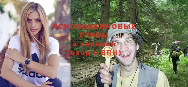 MDMA Premium VHQ Инсар
