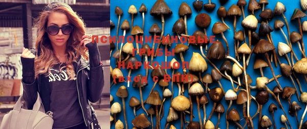 MDMA Premium VHQ Иннополис