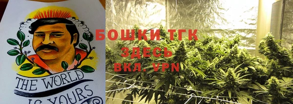 дурь Инта