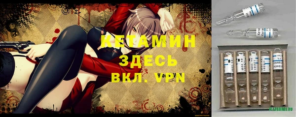 дурь Инта