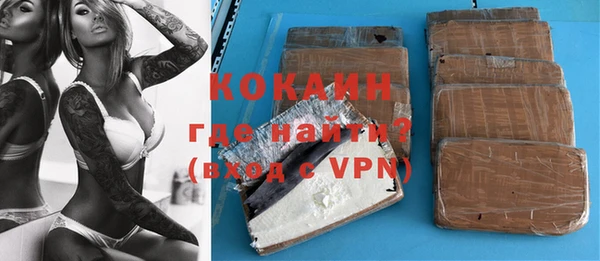 дурь Инта