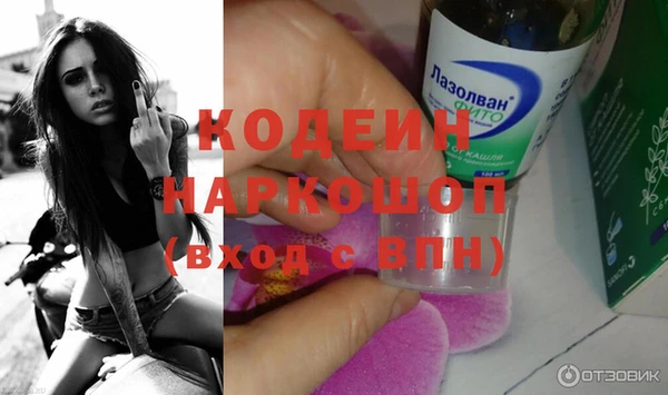 дурь Инта