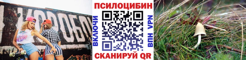 как найти закладки  Каменка  Галлюциногенные грибы мицелий 