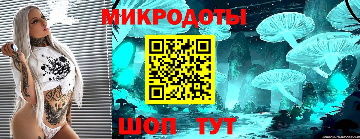 Псилоцибиновые грибы MAGIC MUSHROOMS Каменка