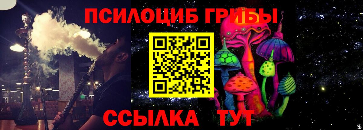 Псилоцибиновые грибы мухоморы  купить наркоту  Галлюциногенные грибы ЛСД  Каменка 