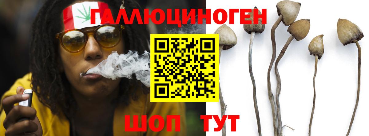Галлюциногенные грибы ЛСД  Вход с VPN  где продают наркотики  Каменка 